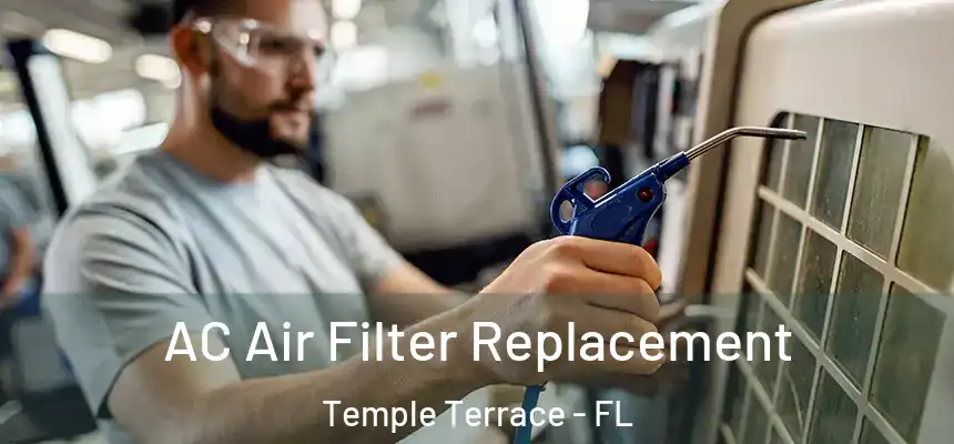 AC Air Filter Replacement Temple Terrace - FL