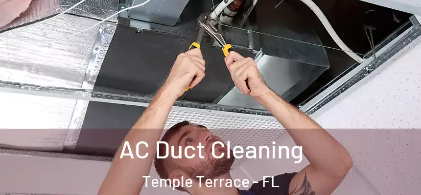 AC Duct Cleaning Temple Terrace - FL