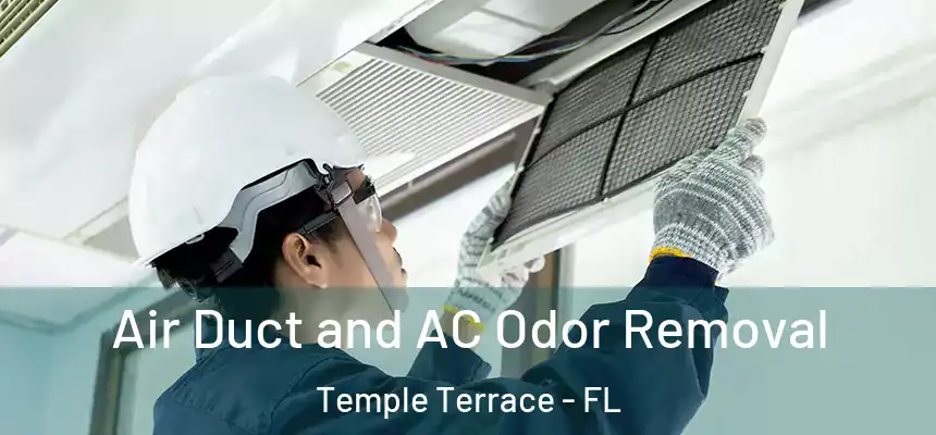  Air Duct and AC Odor Removal Temple Terrace - FL