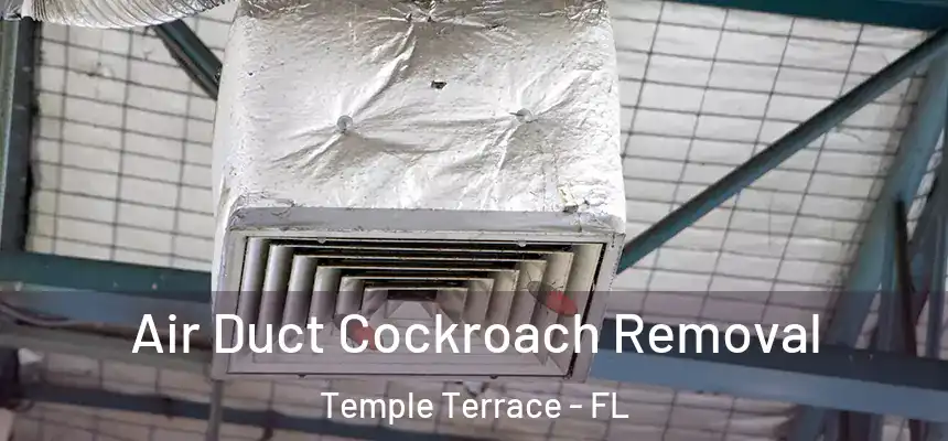 Air Duct Cockroach Removal Temple Terrace - FL