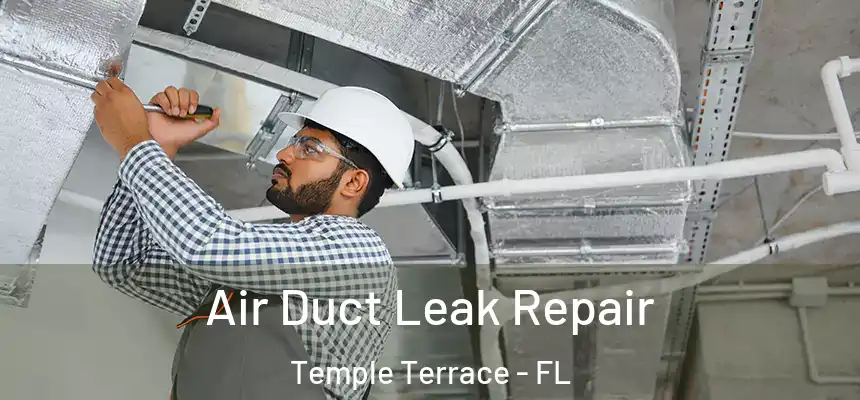 Air Duct Leak Repair Temple Terrace - FL