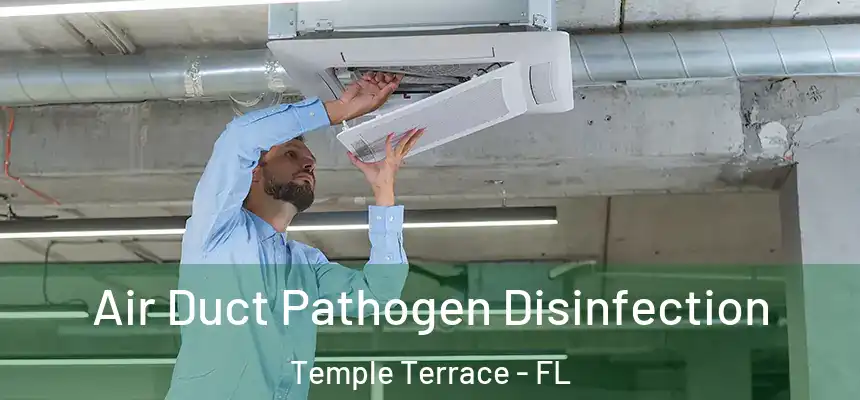 Air Duct Pathogen Disinfection Temple Terrace - FL