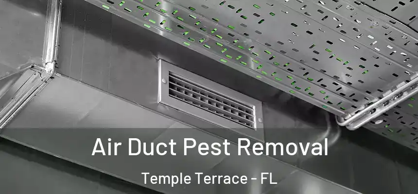 Air Duct Pest Removal Temple Terrace - FL