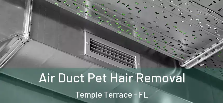 Air Duct Pet Hair Removal Temple Terrace - FL
