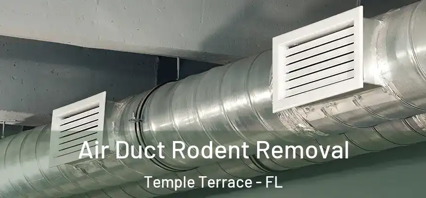 Air Duct Rodent Removal Temple Terrace - FL