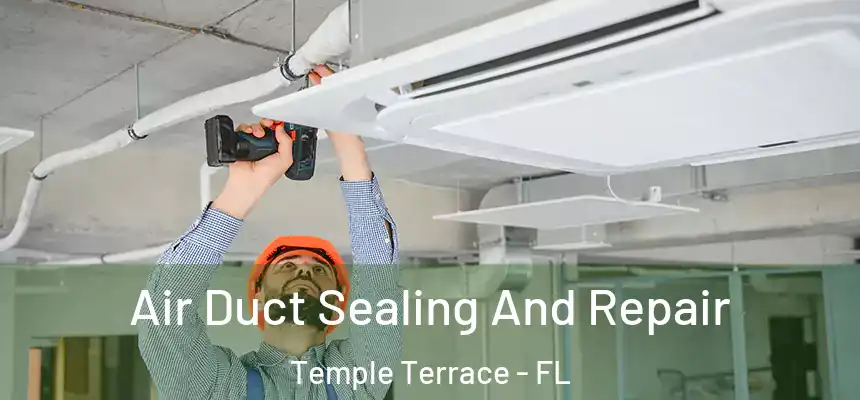 Air Duct Sealing And Repair Temple Terrace - FL