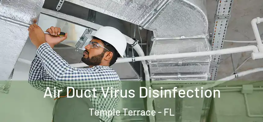 Air Duct Virus Disinfection Temple Terrace - FL