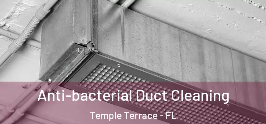 Anti-bacterial Duct Cleaning Temple Terrace - FL