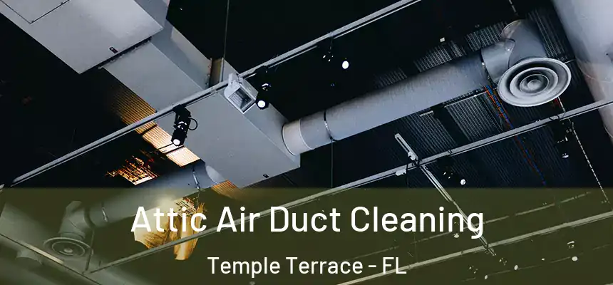 Attic Air Duct Cleaning Temple Terrace - FL