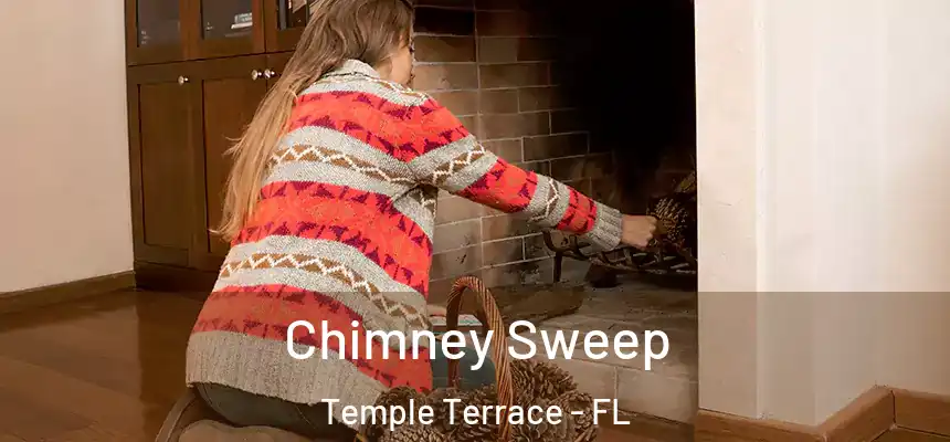 Chimney Sweep Temple Terrace - FL