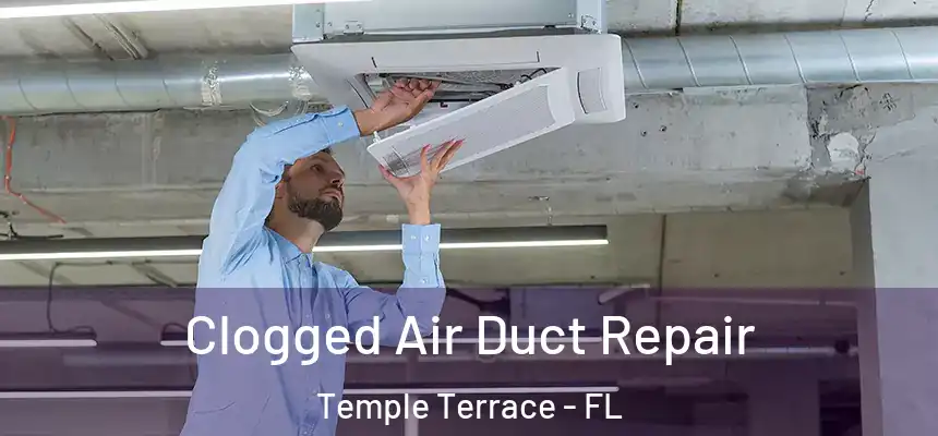 Clogged Air Duct Repair Temple Terrace - FL