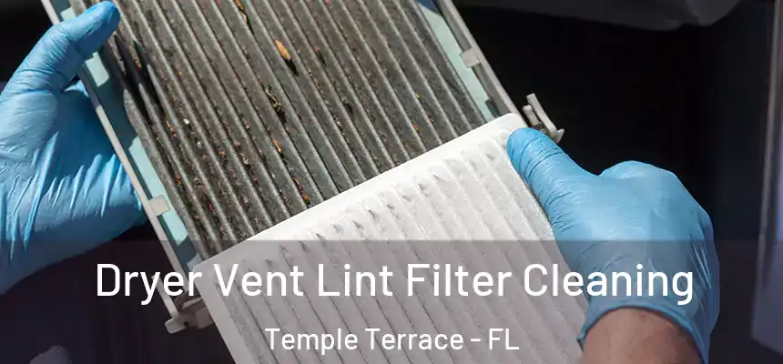 Dryer Vent Lint Filter Cleaning Temple Terrace - FL