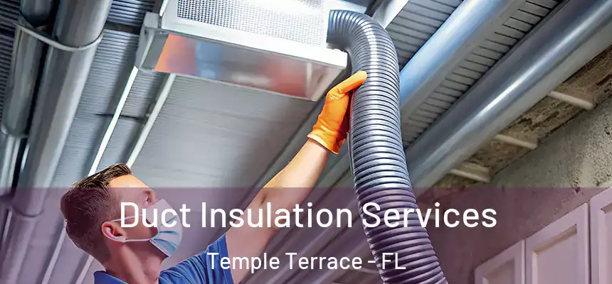 Duct Insulation Services Temple Terrace - FL