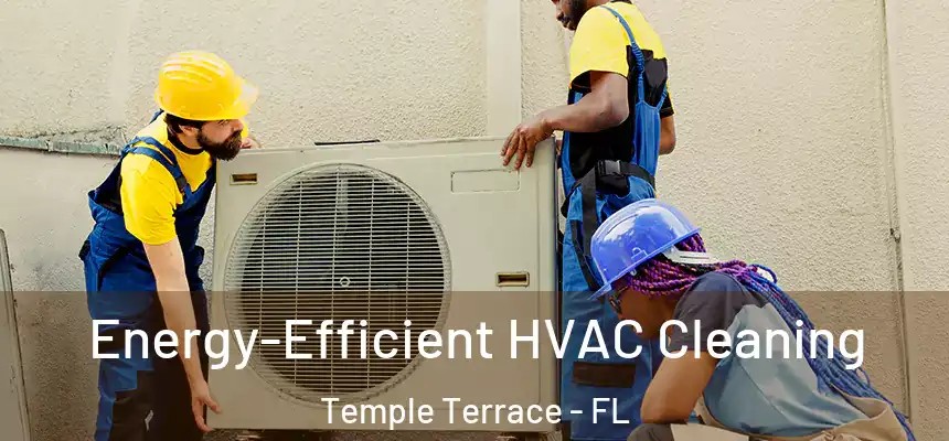 Energy-Efficient HVAC Cleaning Temple Terrace - FL