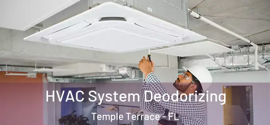 HVAC System Deodorizing Temple Terrace - FL