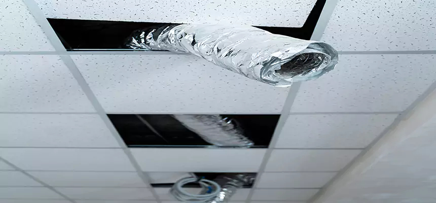 Affordable HVAC Sanitizing After Pest Removal in Temple Terrace