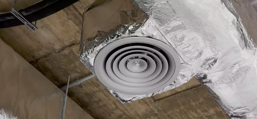 Our Excess Lint Removal from Dryer Ducts Services in Temple Terrace, FL