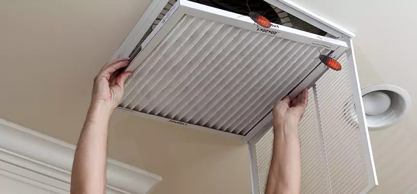 Our Insect Removal from Air Ducts Services in Temple Terrace, FL