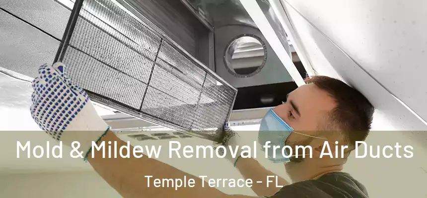 Mold & Mildew Removal from Air Ducts Temple Terrace - FL