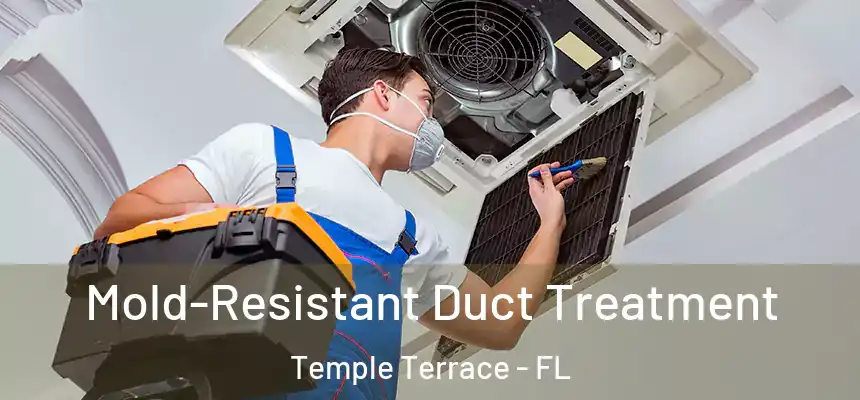 Mold-Resistant Duct Treatment Temple Terrace - FL