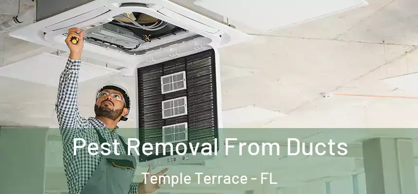 Pest Removal From Ducts Temple Terrace - FL