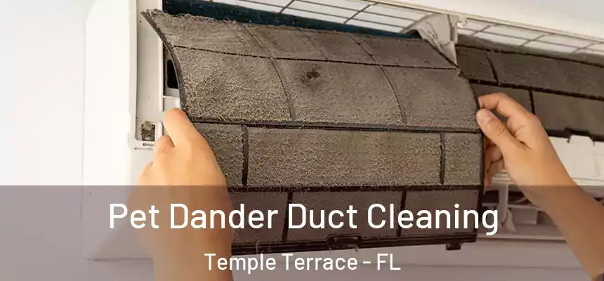 Pet Dander Duct Cleaning Temple Terrace - FL