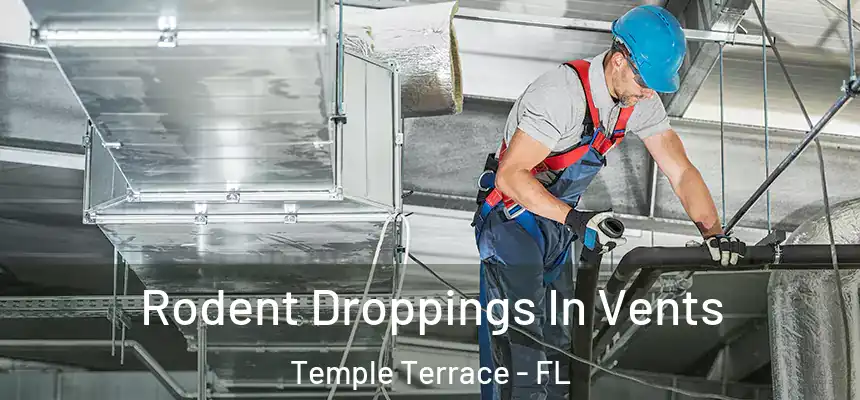Rodent Droppings In Vents Temple Terrace - FL