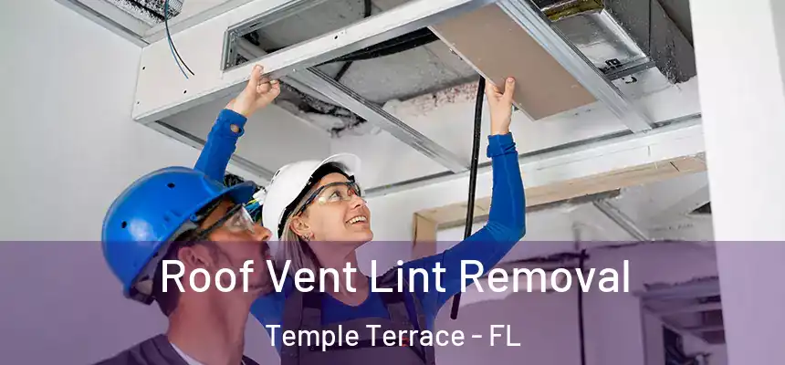 Roof Vent Lint Removal Temple Terrace - FL