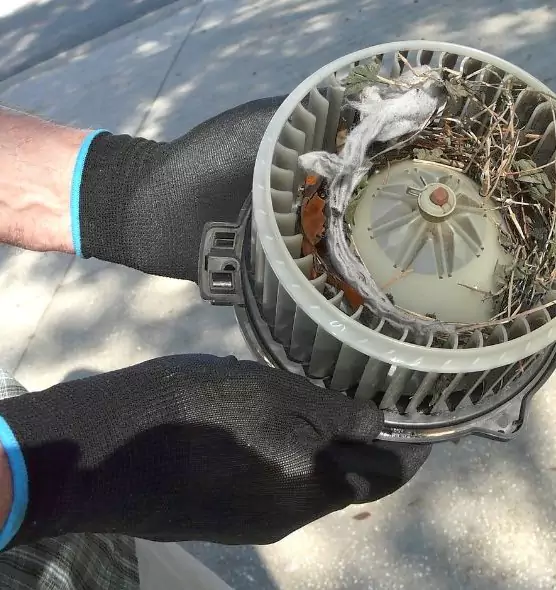 About Air Duct Rat Removal in Temple Terrace, FL