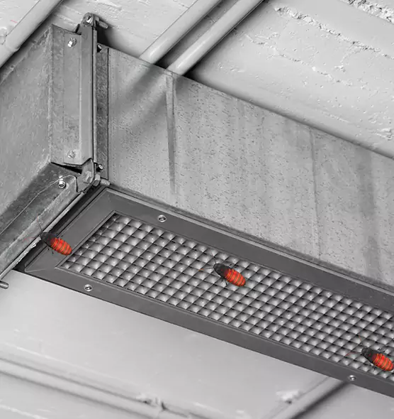 Affordable Insect Removal from Air Ducts in Temple Terrace, FL