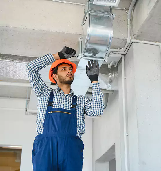 Affordable Lint Buildup Removal in Temple Terrace, FL