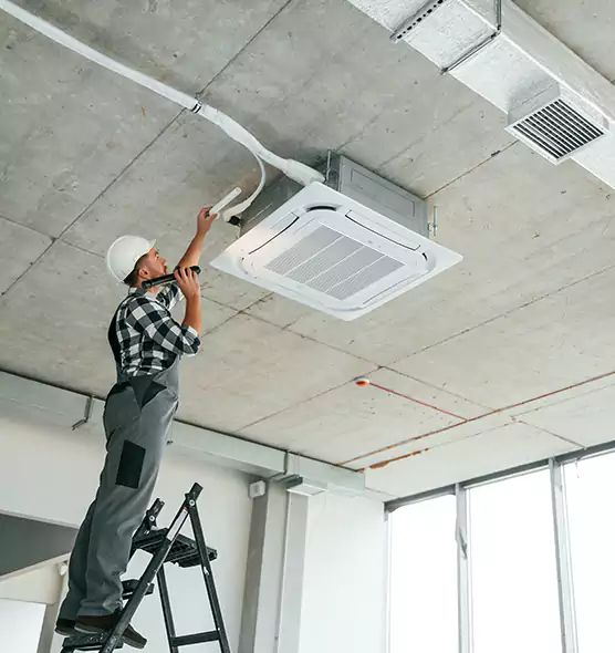 Advanced Pest Removal From Ducts in Temple Terrace, FL