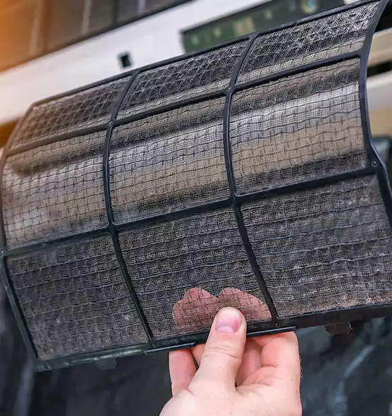 About Pet Dander Duct Cleaning in Temple Terrace, FL