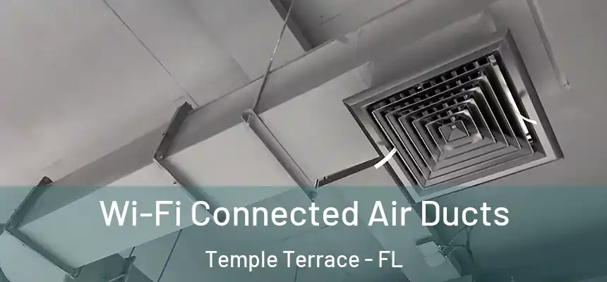 Wi-Fi Connected Air Ducts Temple Terrace - FL